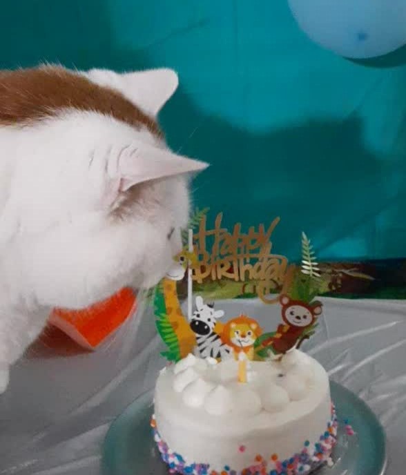 My 13th Birthday Cake