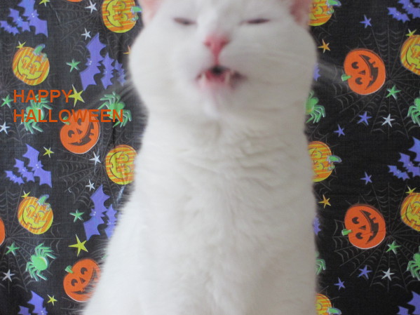 Tankie Dracula Impression