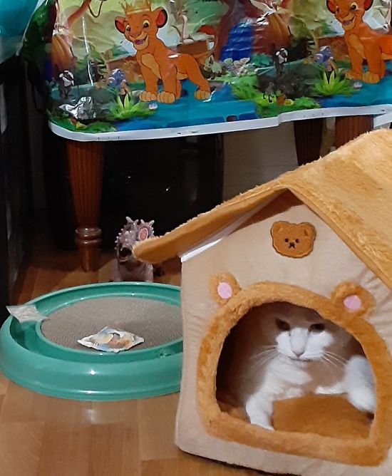 My 13th Birthday Gifts