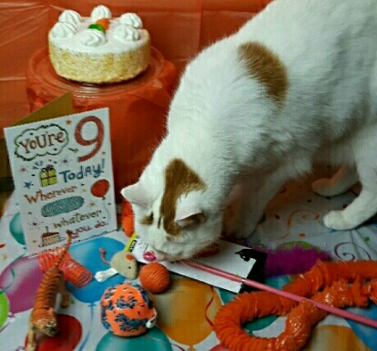 My 9th Birthday 