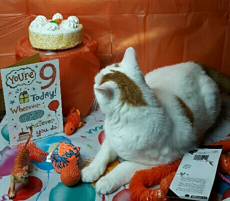 My 9th Birthday 